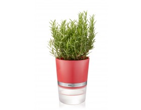 GEFU Самополиваща се кашпа за зелени подправки или цветя “BOTANICO“ - цвят малинено червен