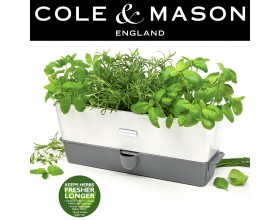 COLE & MASON Самополиваща се кашпа за зелени подправки или цветя