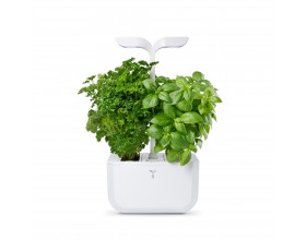 Домашна градина EXKY® CLASSIC GARDEN - цвят бял
