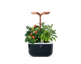 Домашна градина EXKY® SMART GARDEN - цвят черен/мед