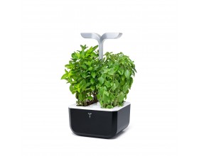 Домашна градина EXKY® SMART GARDEN - цвят черен/инокс