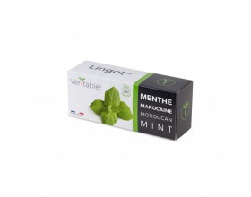 VERITABLE Lingot® Maroccan Mint - Мароканска Мента