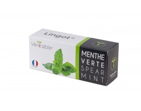 VERITABLE Lingot® Spearmint - Сладка Мента