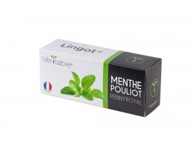 VERITABLE Lingot® Pennyroyal Mint - Кралска Мента