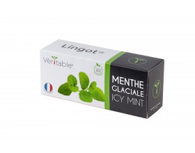VERITABLE Lingot® Icy Mint Organic - Ледена Мента