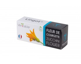 VERITABLE Lingot® Zucchini Flowers Organic - Цвят от Тиква