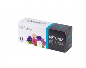VERITABLE Lingot® Petunia - Ядлива  Петуния