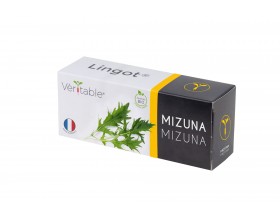 VERITABLE Lingot® Mizuna Organic - Японска салата Мизуна