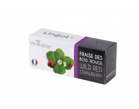 VERITABLE Lingot® Wild Red Strawberry - Червени диви Ягоди