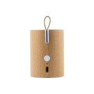 GINGKO Bluetooth колонка и лампа - бук