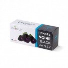 VERITABLE Lingot® Black Pansy - Черна Теменужка