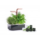 Домашна градина SMART VÉRITABLE® GARDEN - цвят черен/мед