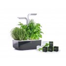 Домашна градина SMART VÉRITABLE® GARDEN - цвят черен/инокс