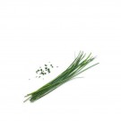 VERITABLE Lingot® Chinese Chives Organic - Китайски Лук