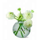 PHILIPPI Стъклена ваза 3 в 1 GLOBO