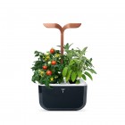 Домашна градина EXKY® SMART GARDEN - цвят черен/мед