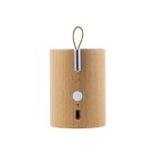 GINGKO Bluetooth колонка и лампа - бук