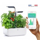 Домашна градина CONNECT VERITABLE® GARDEN - цвят бял/графит