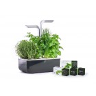 Домашна градина SMART VÉRITABLE® GARDEN - цвят черен/инокс